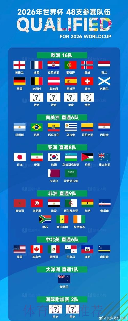 世界杯投注渠道对比：官方与非官方渠道的区别解析