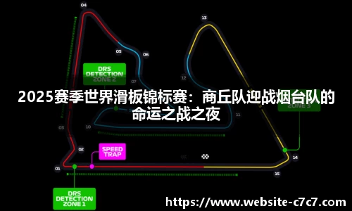 2025赛季世界滑板锦标赛：商丘队迎战烟台队的命运之战之夜